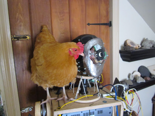 Robot with chicken