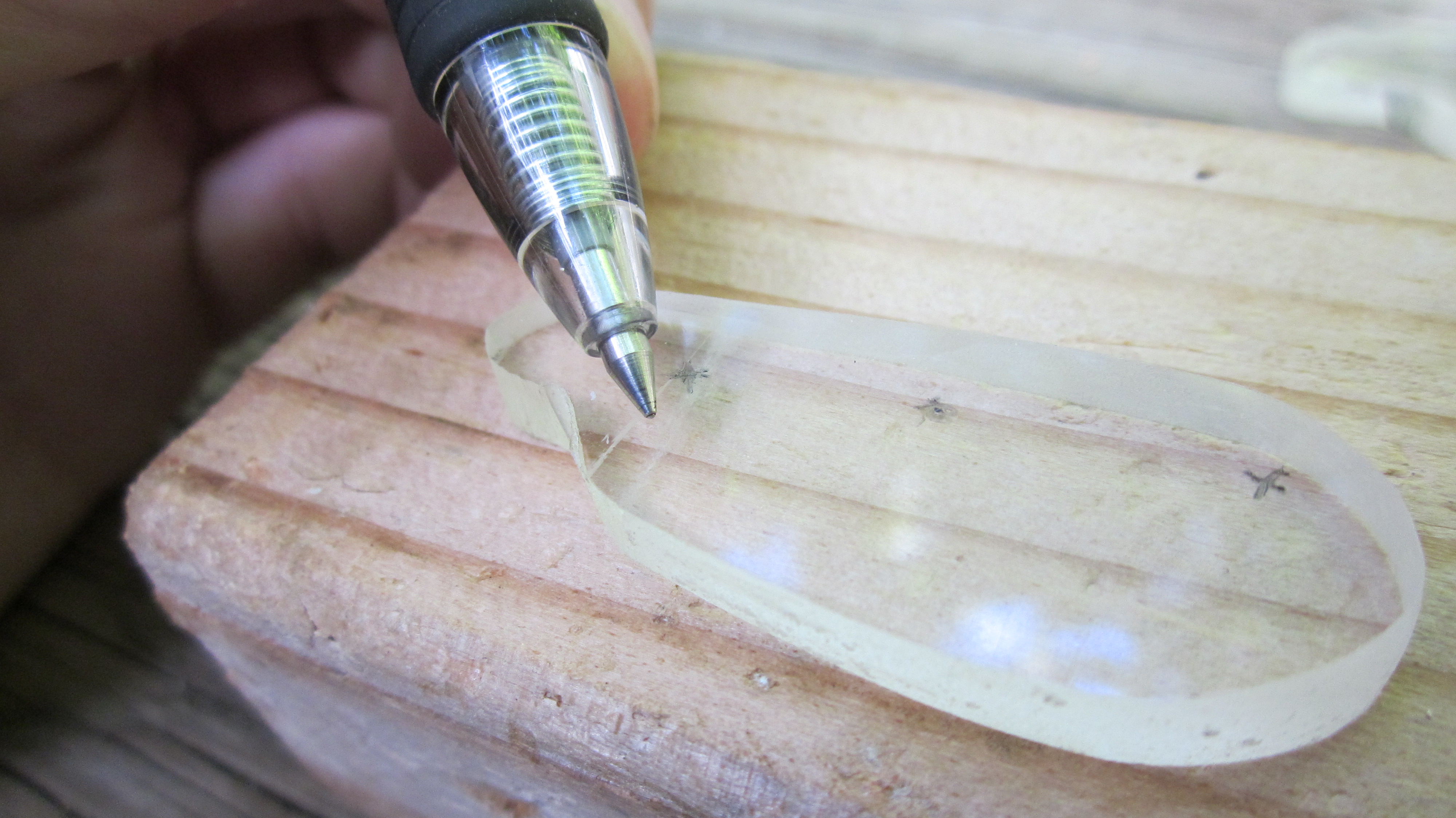 Img 0497 12499848954 O