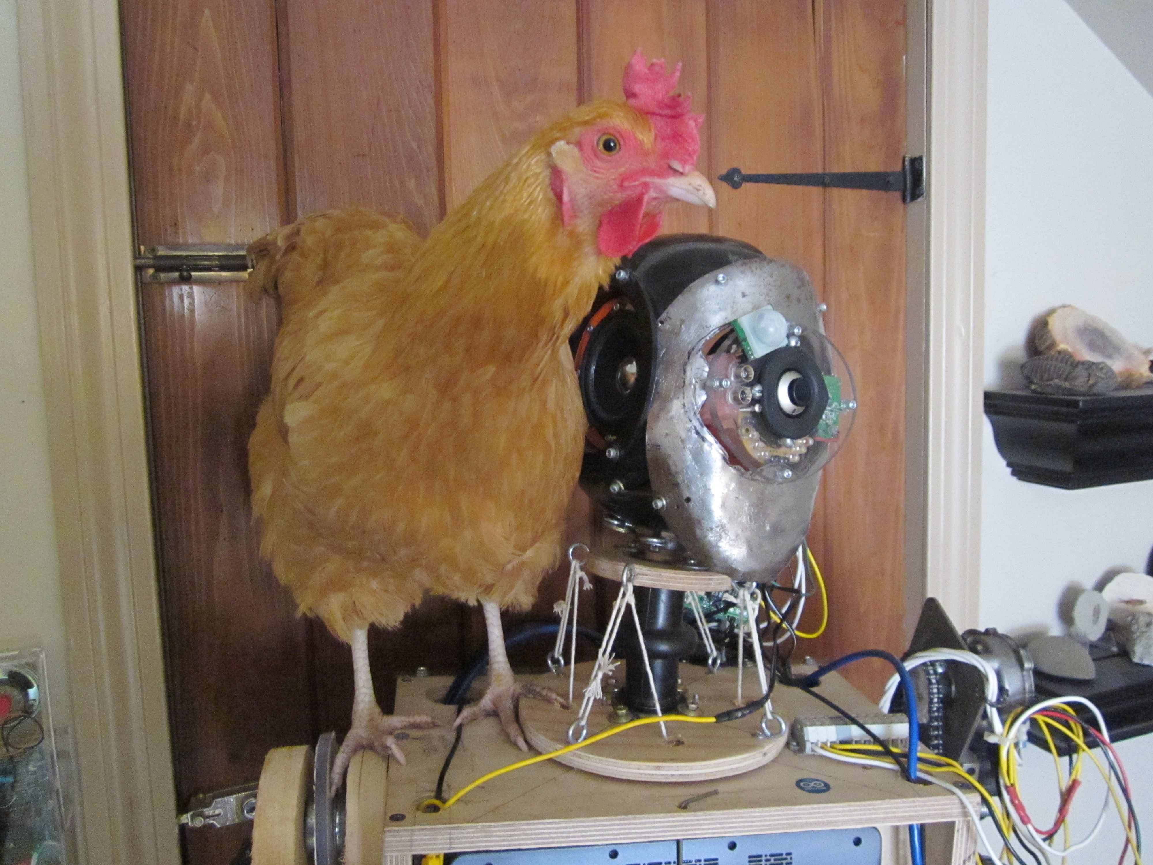 Img 1557 12141159493 O