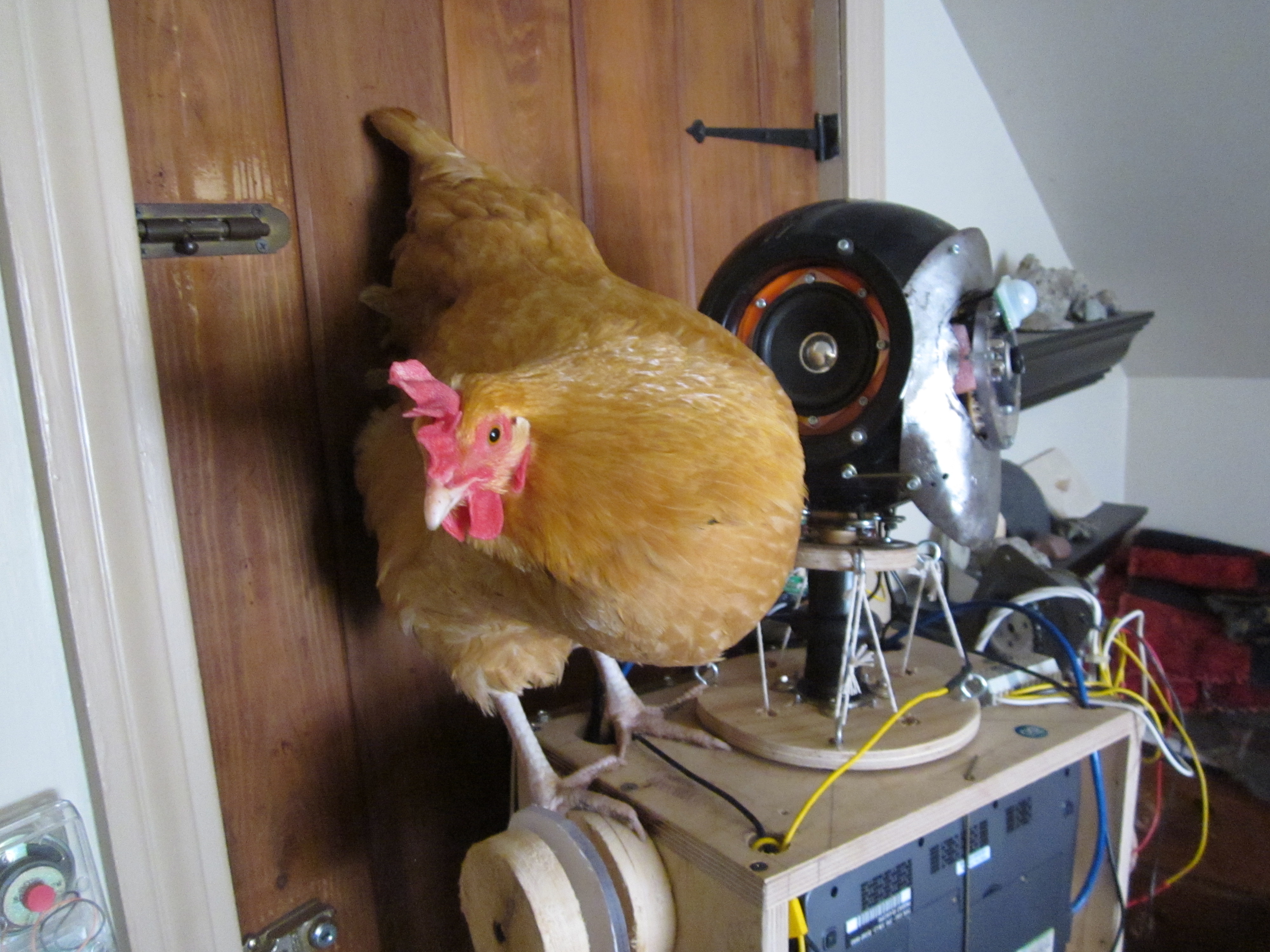 Img 1565 12141307634 O