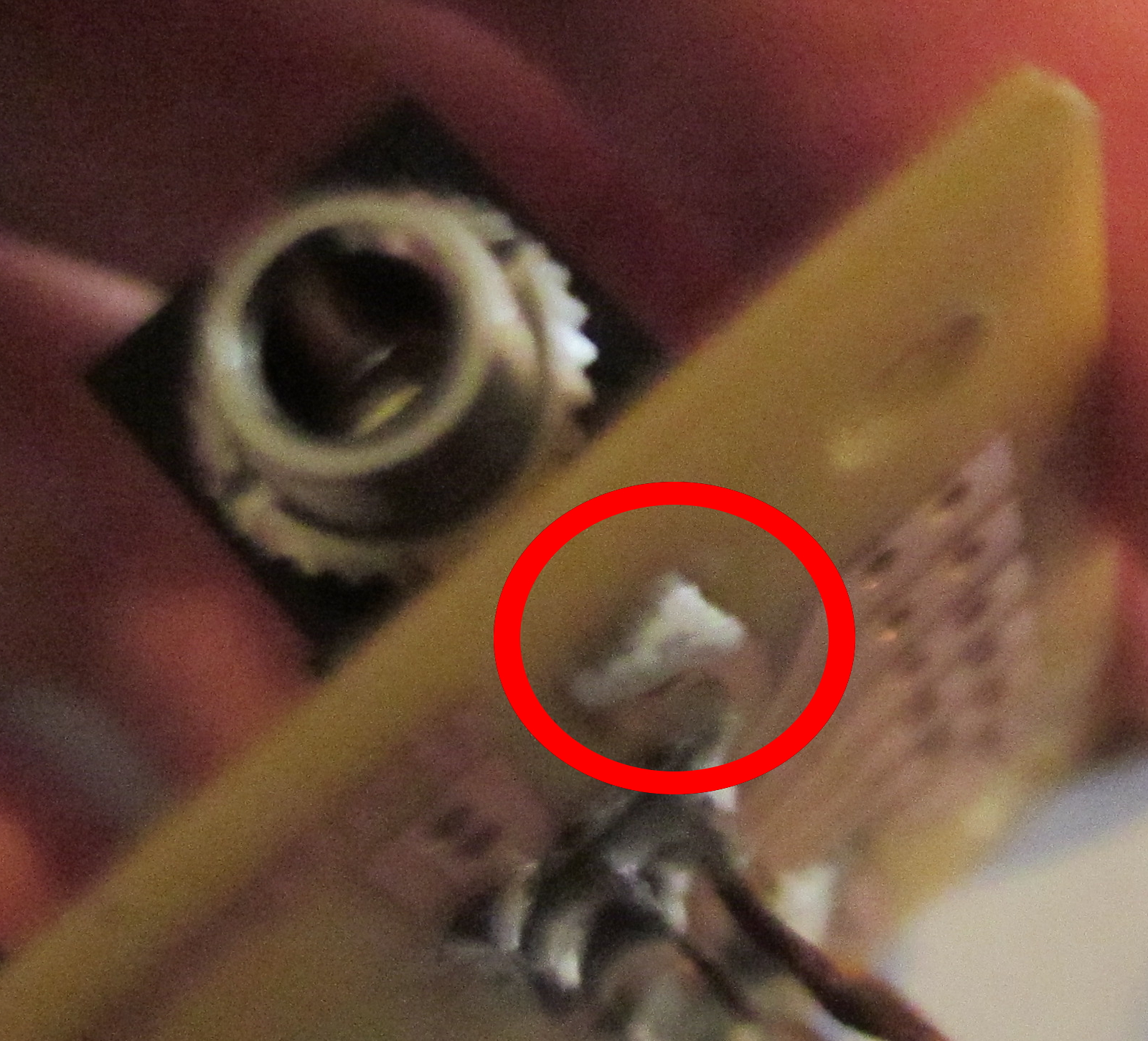 Img 2181 12258421303 O